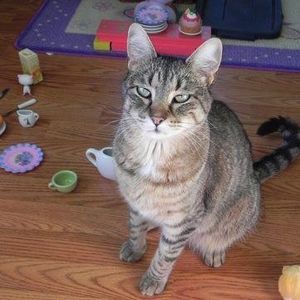 Meet your Posher, Laura